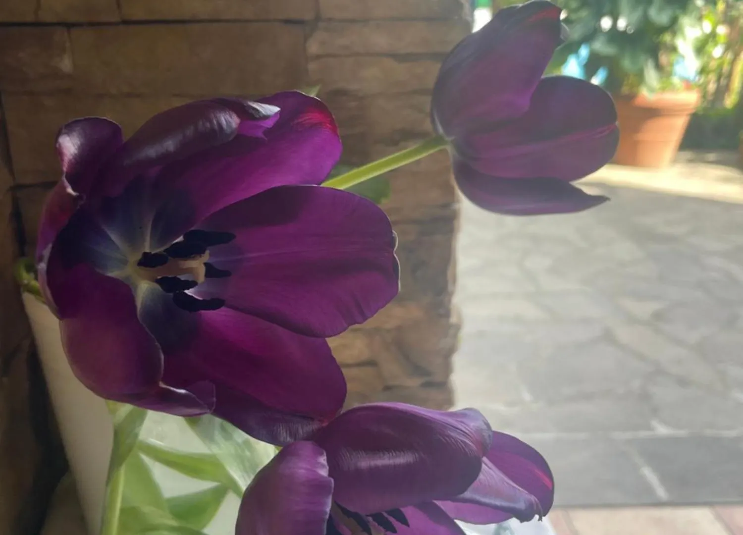 Δωμάτια σε οικογενειακή κατοικία Il Giardino Di Emilia - Intero Appartamento In Villa Con Giardino Privato E Piscina Estiva Pontirolo Nuovo
