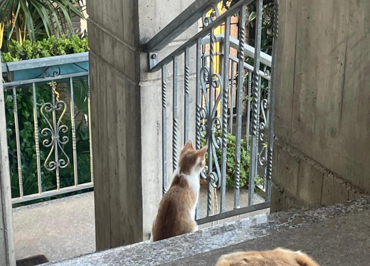 Δωμάτια σε οικογενειακή κατοικία Il Giardino Di Emilia - Intero Appartamento In Villa Con Giardino Privato E Piscina Estiva Pontirolo Nuovo Ιταλία